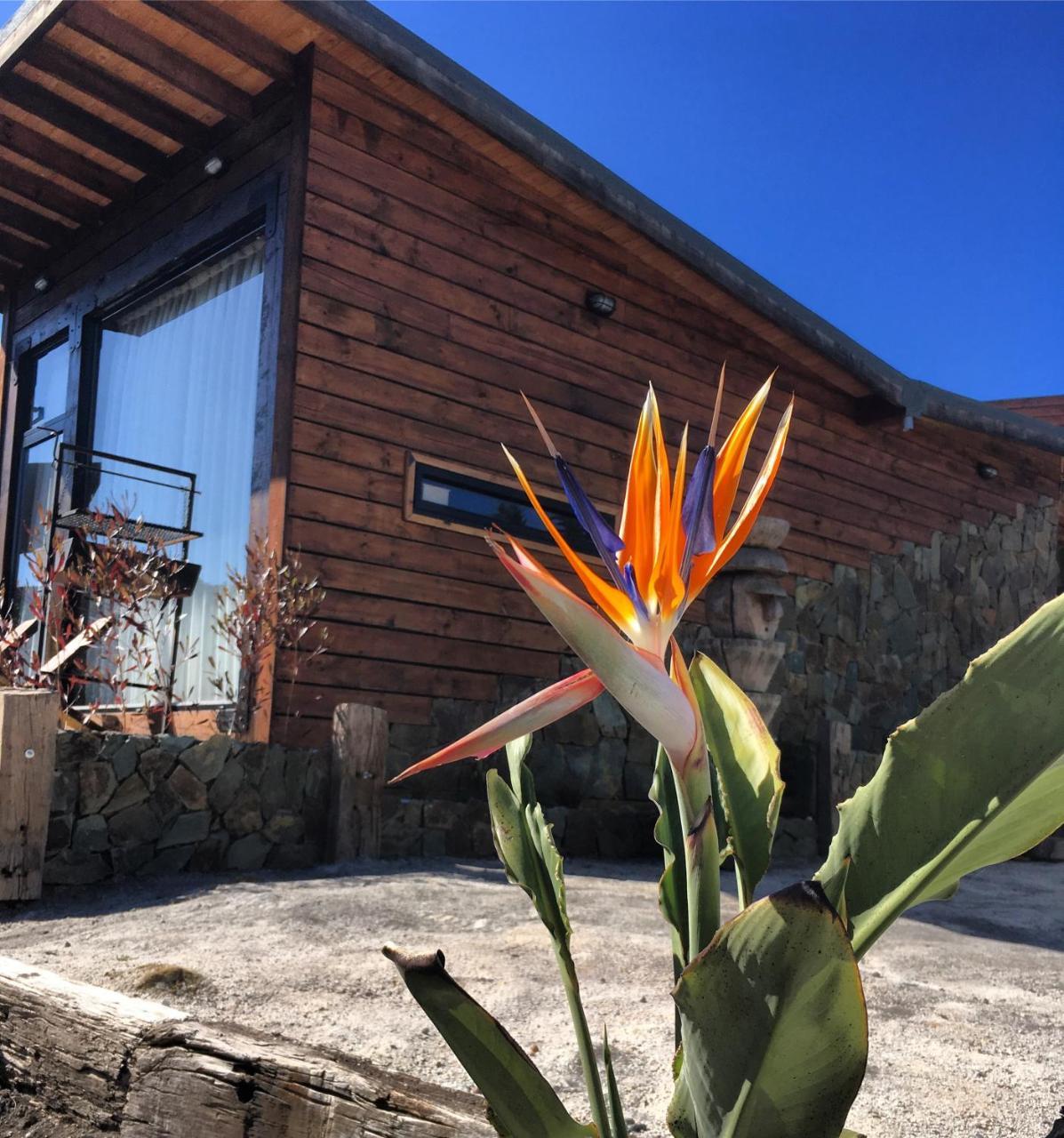 Palo Santo Bed and Breakfast Pichilemu Exterior foto